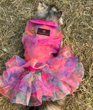 Pawgy Pets Frilly Dress: Pink Tie&Dye for Cats