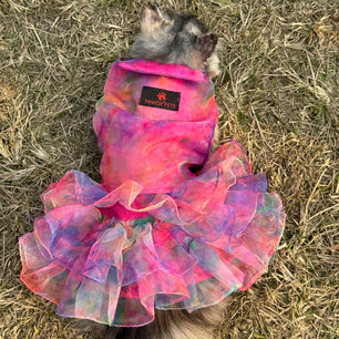 Pawgy Pets Frilly Dress: Pink Tie&Dye for Cats