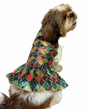 Pawgy Pets Silk Dress Multi for Dogs