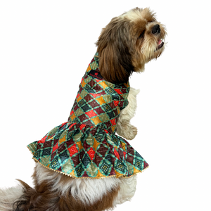 Multi Colour Silk Dress | For Dogs | Pawgy Pets