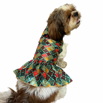 Pawgy Pets Silk Dress Multi for Dogs