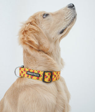 Pawgy Pets Collar Watermelon yellow for dogs and cats