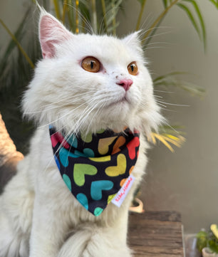 Pawgy Pets Casual Bandana:  Multi-heart for Cats and Dogs