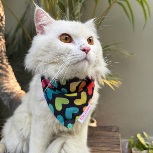 Pawgy Pets Casual Bandana:  Multi-heart for Cats and Dogs