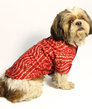 Pawgy Pets Red Bandani kurta for Dogs
