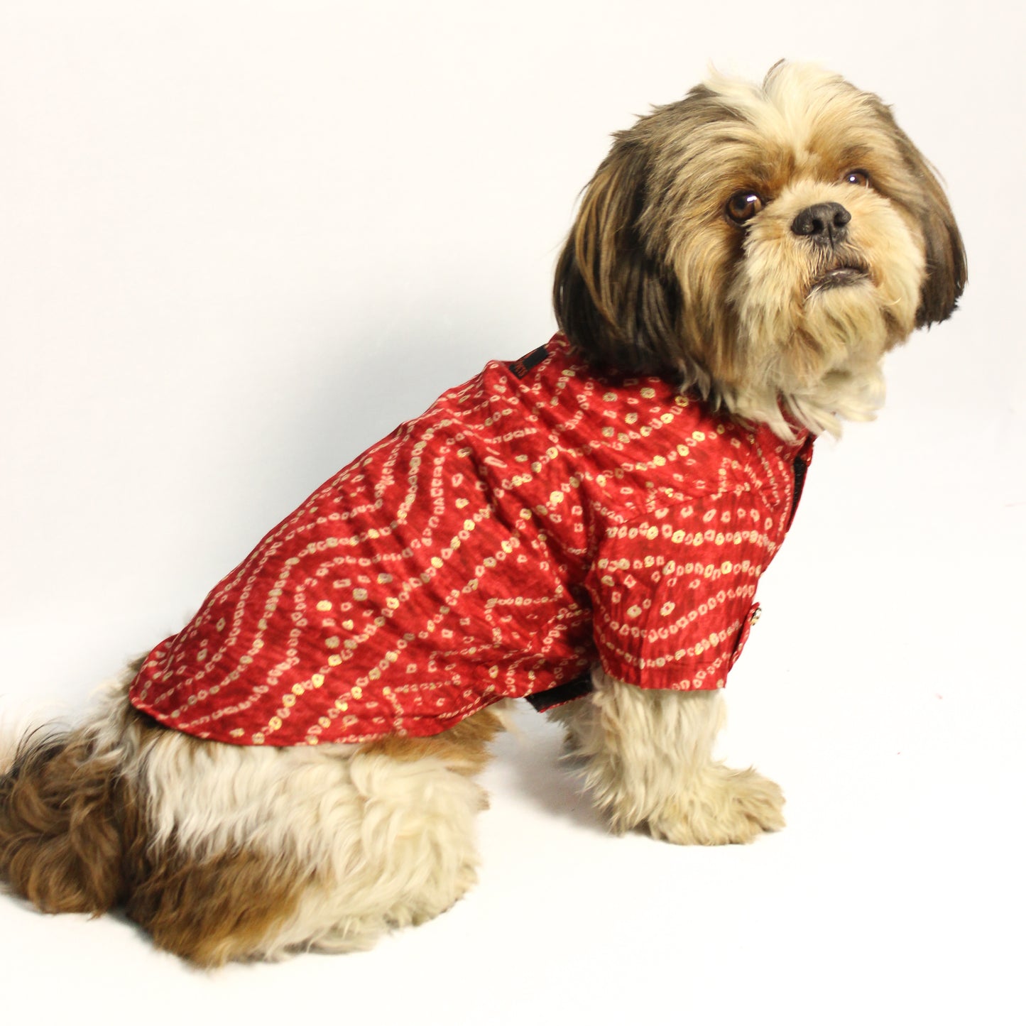 Red Bandani Kurta | For Dogs | Pawgy Pets