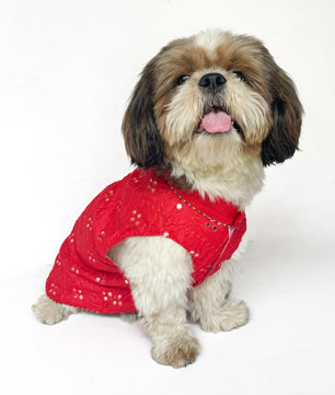 Pawgy Pets Festive Shirt Red Mirror Work for Dogs