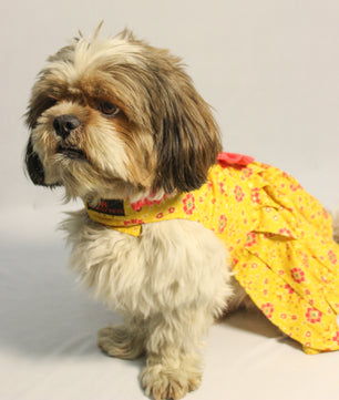 Pawgy Pets Block Print Bandani Dress Yellow for Dogs