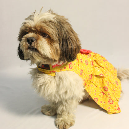 Yellow Block Print Bandani Dress | For Dogs | Pawgy Pets