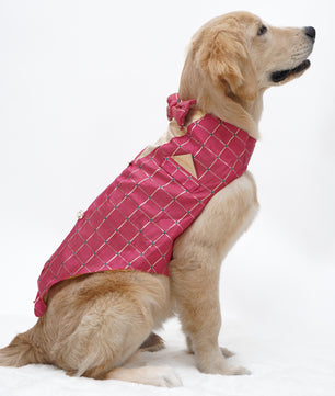 Pawgy Pets Desi Tuxedo: Pink for Dogs & Cats