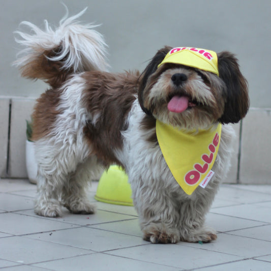 Pawgy Pets Personalised Dog Cap and Bandana: Yellow for Dogs & Cats