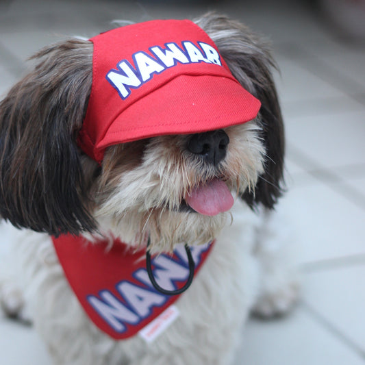 Pawgy Pets Personalised Dog Cap and Bandana: Red for Dogs & Cats