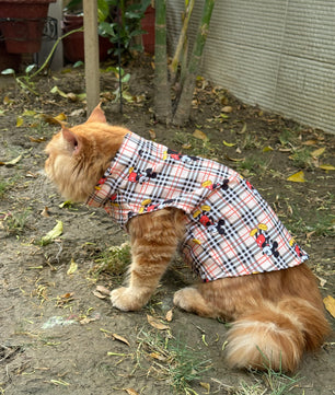 Pawgy Pets Mickey Check Sando (Cat)