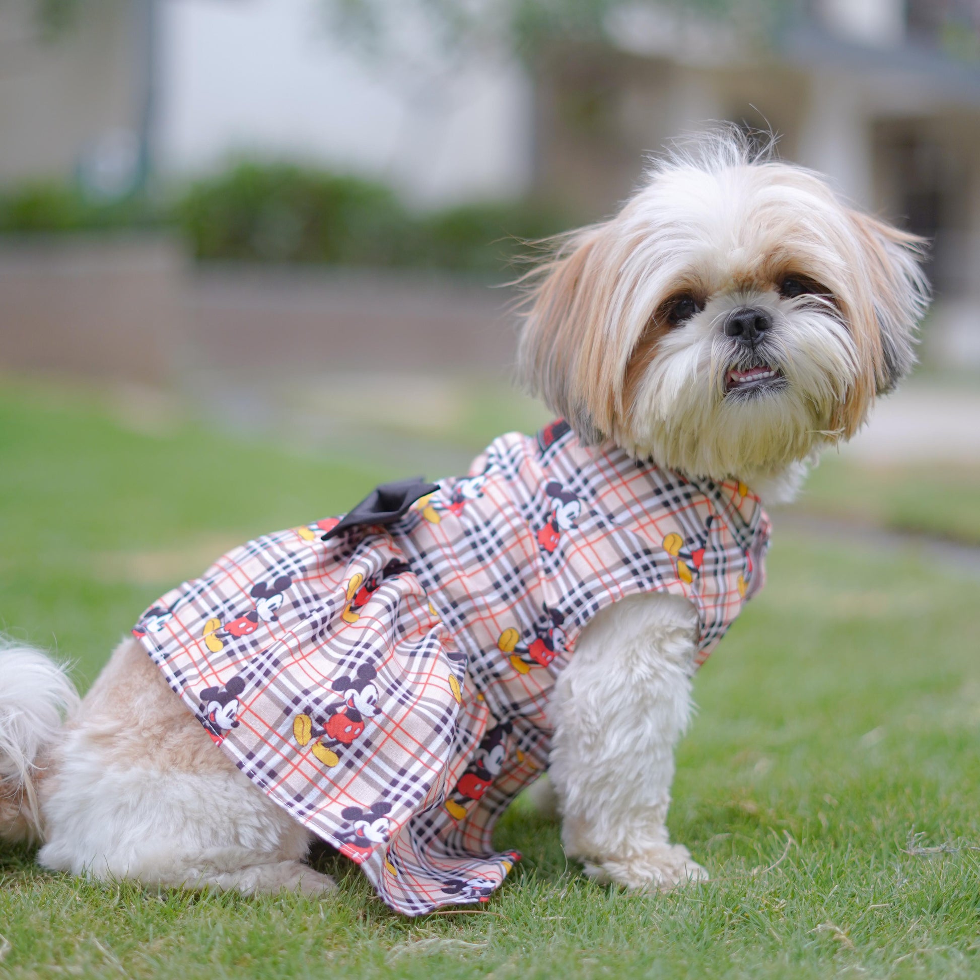 Mickey Check Beige Dress for Dogs | Pawgy Pets Mickey Check Beige Dress for Dogs | Pawgy Pets
