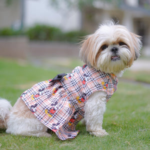 Mickey Check Dress | Beige | For Dogs | Pawgy Pets