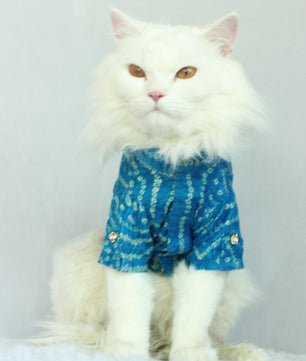 Pawgy Pets Blue Bandani kurta for Cats