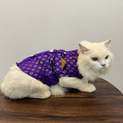 Pawgy Pets Sherwani Purple for Cats