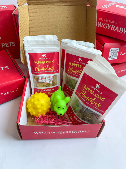 Pawgy Pets Treat & Toy Box for Dogs & Cats