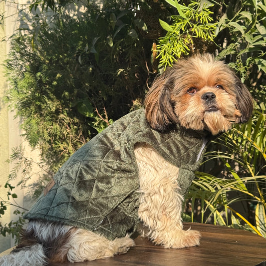 Pawgy Pets  Quilted Jacket (Olive Green) for Dogs & Cats