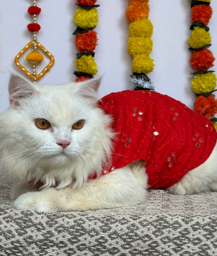 Pawgy Pets Festive Mirror work Sando: Maroon (Cat)