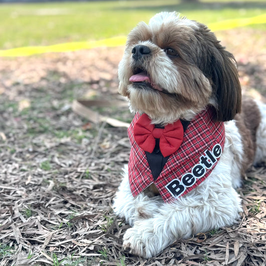 Pawgy Pets Personalised Waistcoat Tuxedo Bandana Red for Dogs & Cats