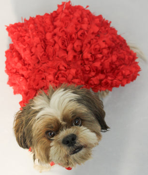 Pawgy Pets Red Rosy Tutu Dress for Dogs and Cats