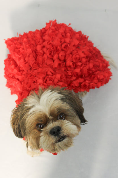 Red Rosy Tutu Dress | Luxe Collection | Pawgy Pets