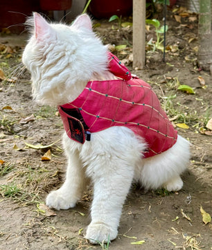 Pawgy Pets Desi Tuxedo Pink (Cat)