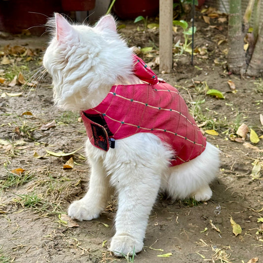 Pawgy Pets Desi Tuxedo Pink (Cat)