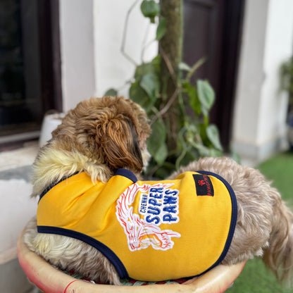 Pawgy Pets Chennai Supaw Kings for Dogs and Cats