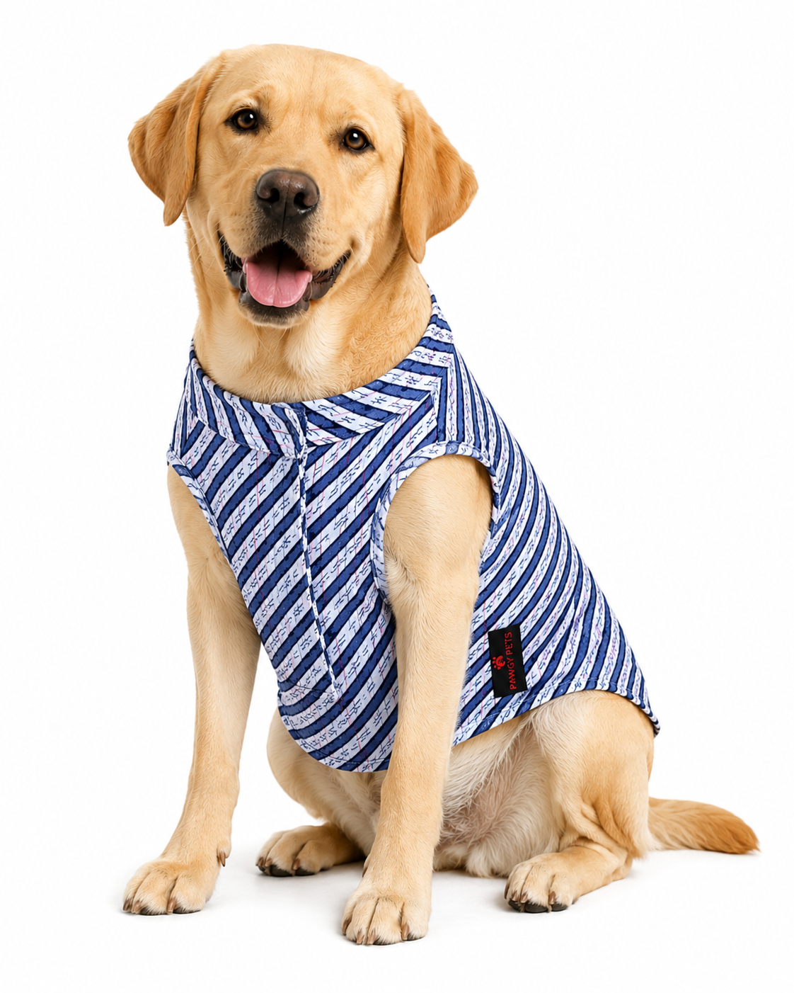 Indigo Lehriya Kurta | For Dogs | Pawgy Pets