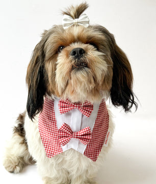 Pawgy Pets Casual Check Bandana: Red for Dogs & Cats