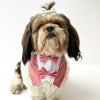 Pawgy Pets Casual Check Bandana: Red for Dogs & Cats