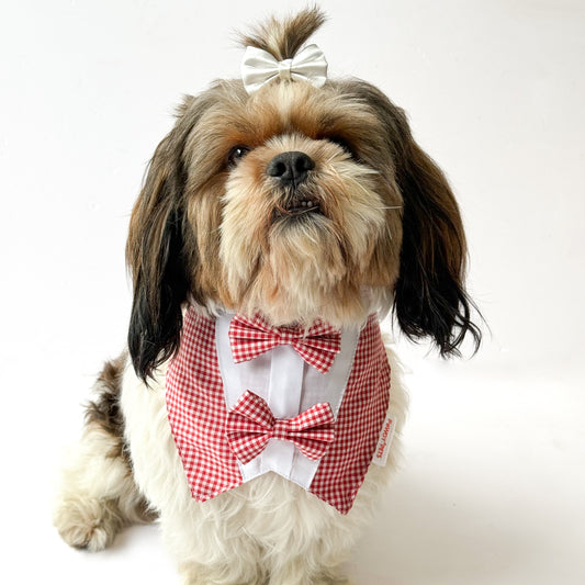 Pawgy Pets Casual Check Bandana: Red for Dogs & Cats