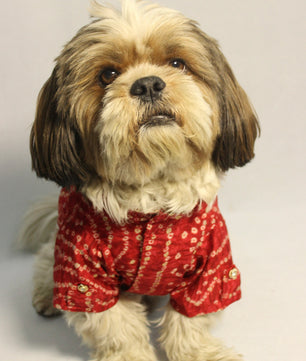 Pawgy Pets Red Bandani kurta for Dogs