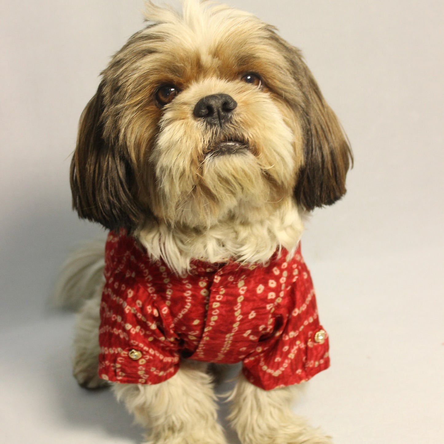 Red Bandani Kurta | For Dogs | Pawgy Pets