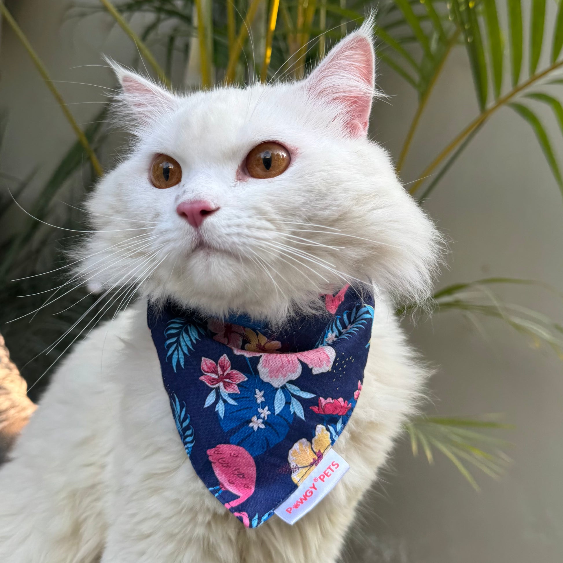 Pawgy Pets Casual Bandana: Flamingo Navy for Cats and Dogs