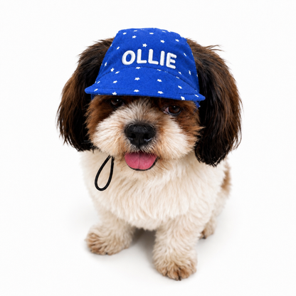 Royal Blue Star Cap | Personalised for Dogs | Pawgy Pets