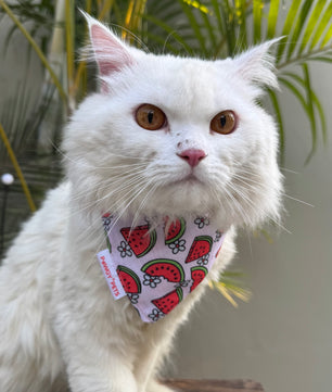 Pawgy Pets Casual Bandana: Pink Daisymelon for Cats and Dogs