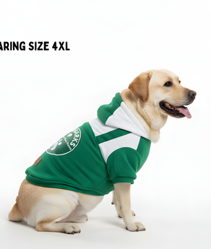 Pawgy Pets Furbarks Hoodie Pet Sweatshirt - Green