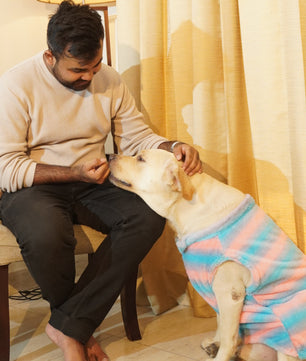 Pawgy Pets Fur sweater: Blue & Pink for Dogs & Cats (Sleeveless)
