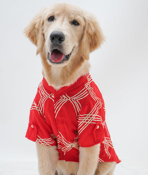 Pawgy Pets Festive Shirt Red Gota for Dogs