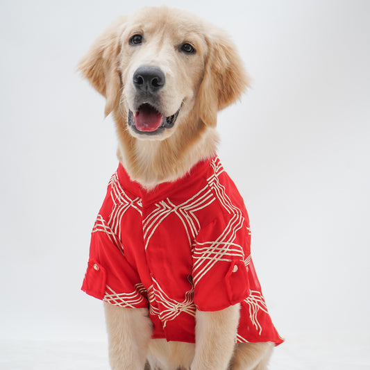 Pawgy Pets Festive Shirt Red Gota for Dogs