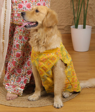 Pawgy Pets Festive Kurta Patola for Dogs