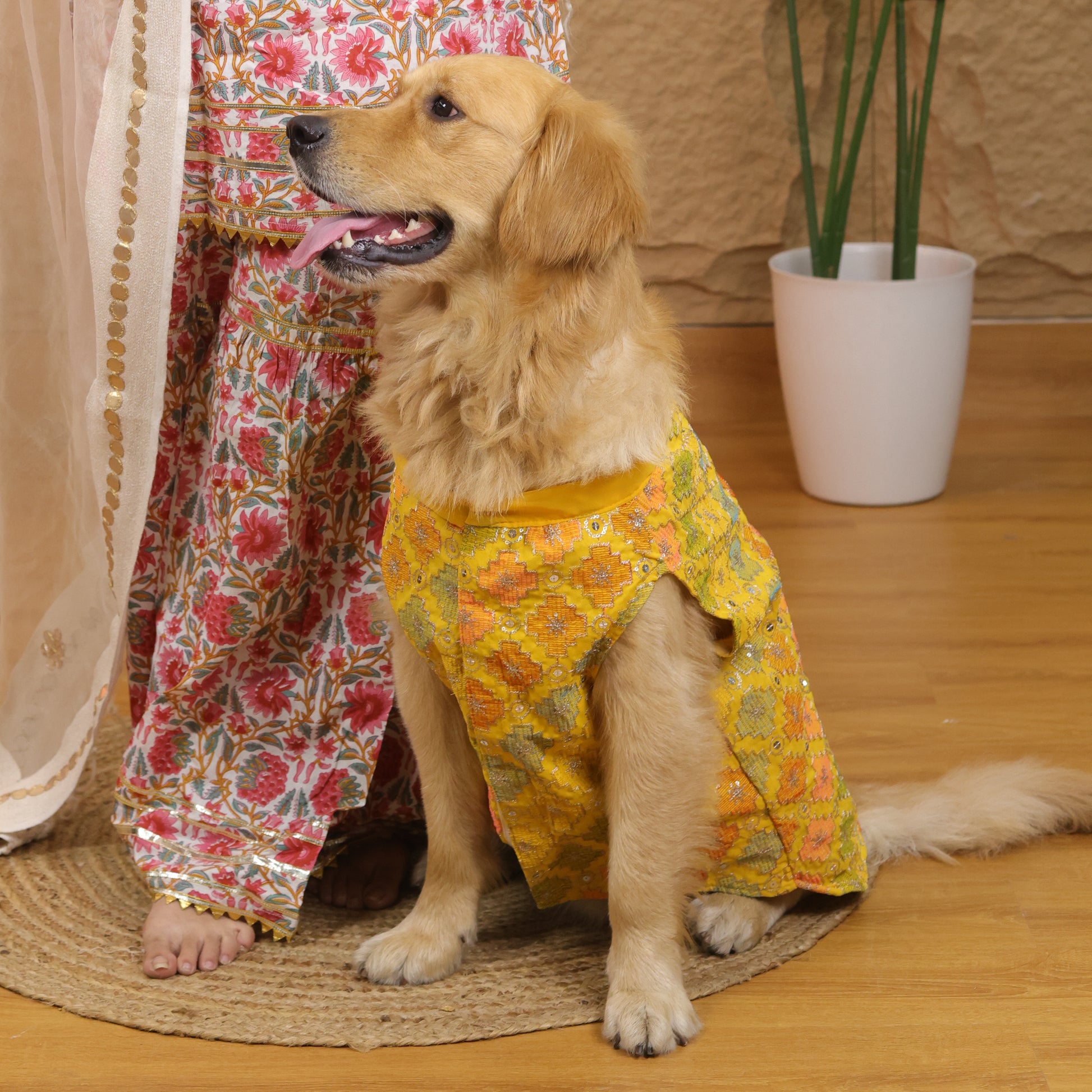 Pawgy Pets Festive Kurta Patola for Dogs