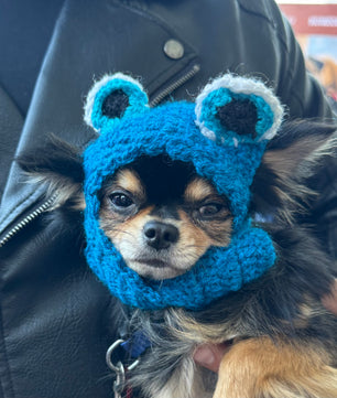 Pawgy Pets Evil Eye cap for Dogs