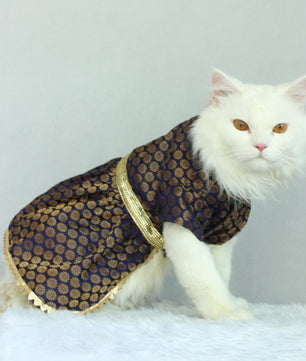 Pawgy Pets Occasion wear Dress Navy Blue: Cat