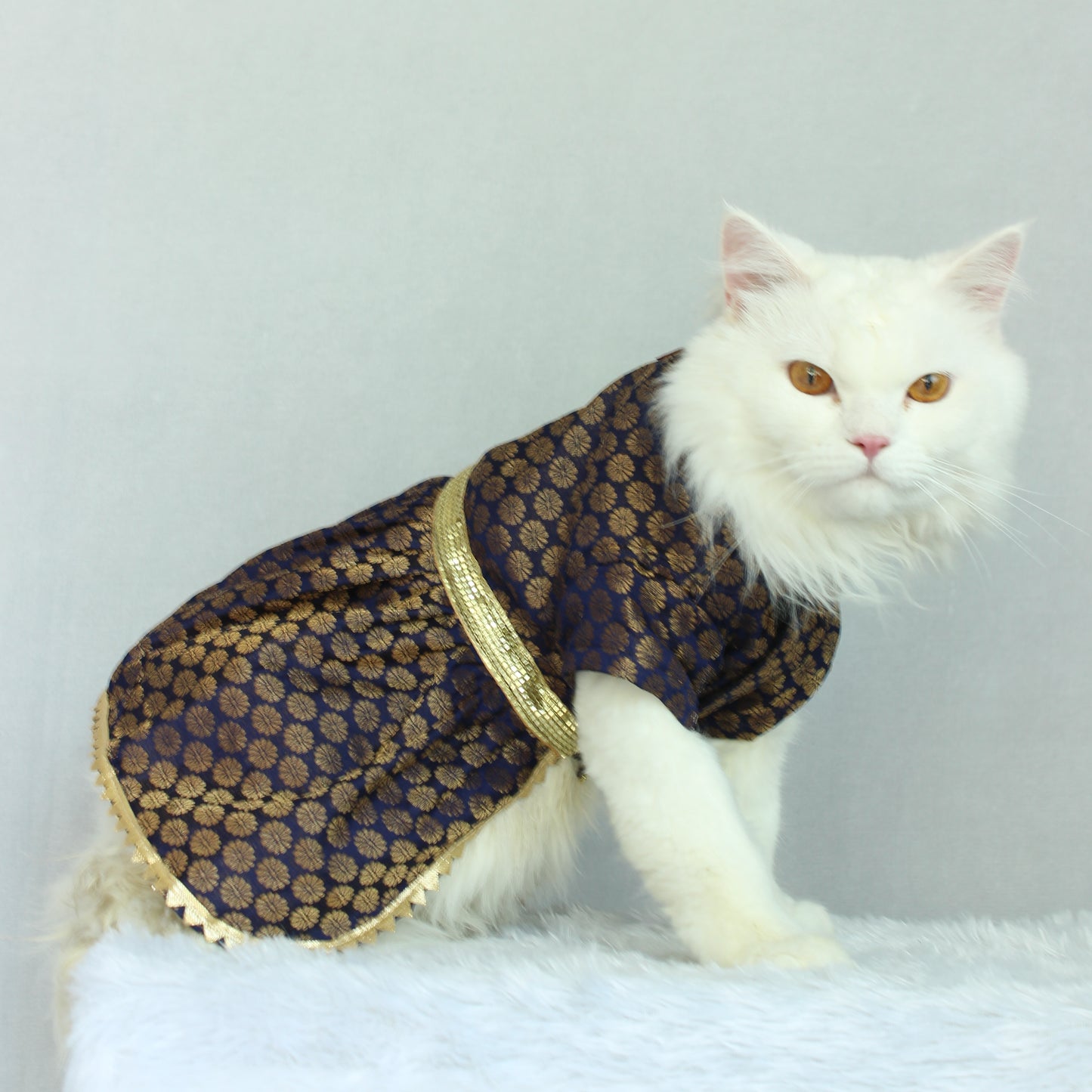 Navy Blue Occasion Wear Dress | For Cats | Pawgy Pets
