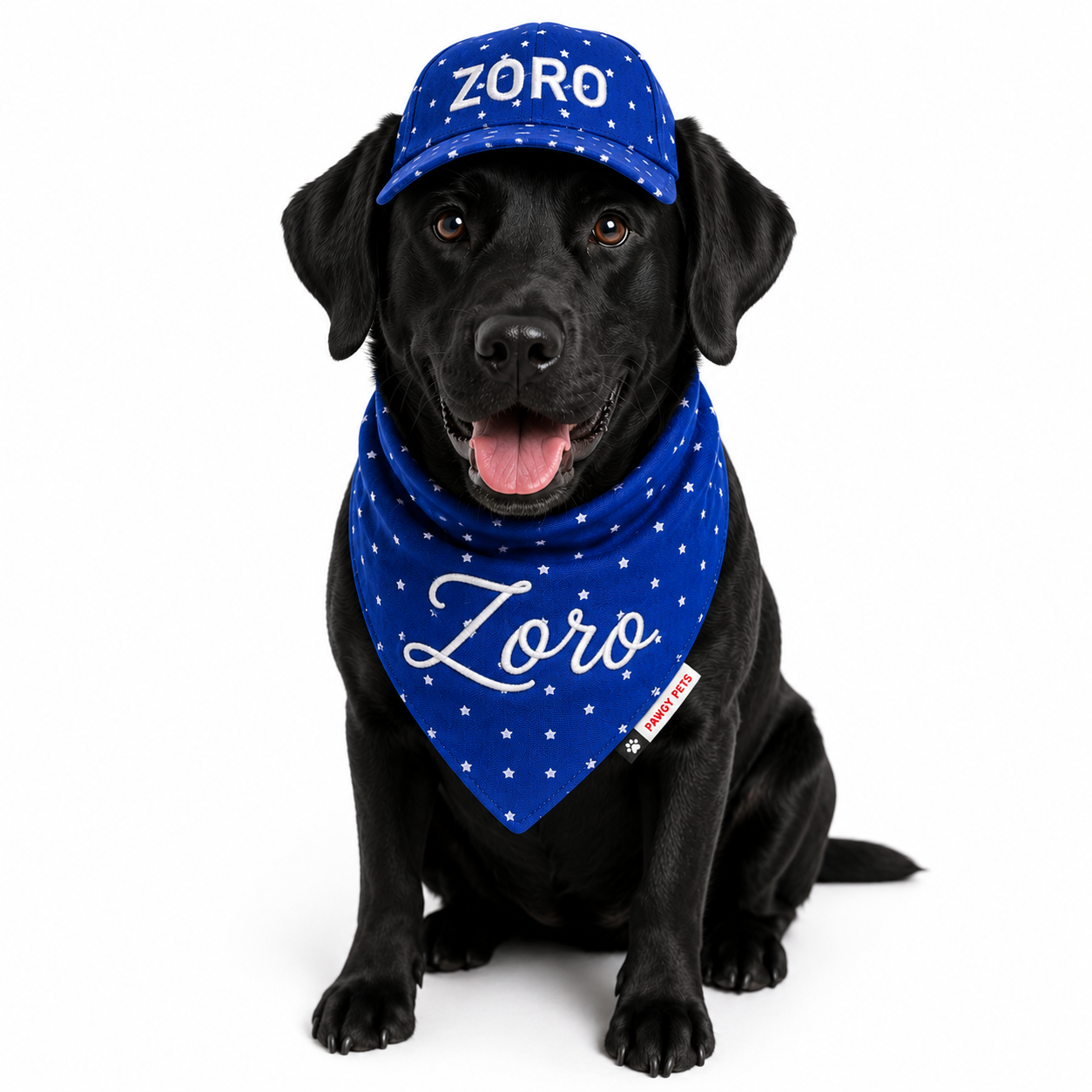 Royal Blue Star Cap and Bandana Set | Personalised for Dogs | Pawgy Pets