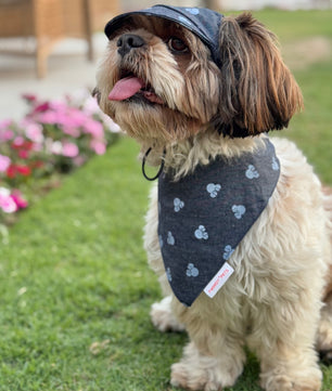 Pawgy Pets Denim Minnie Bandana for Dogs & Cats